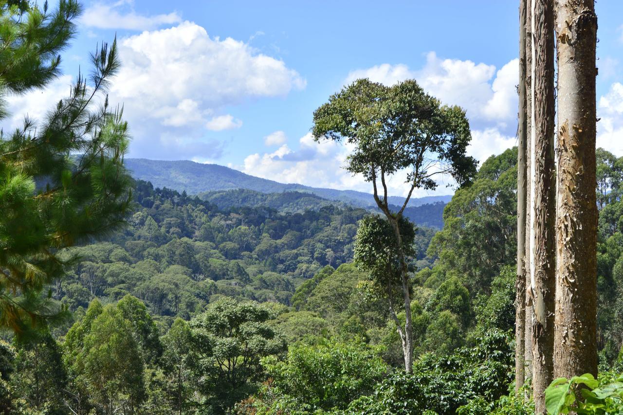Finca Santa Rosa 호텔 Mariscal Castilla 외부 사진